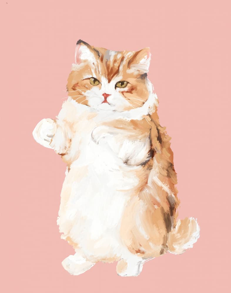 Adorable Standing Cat by Josie George — canvas wall art