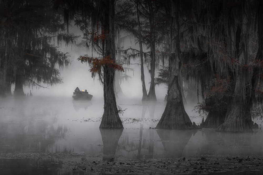 Misty Cypress Swamp by Willa Wei — canvas wall art