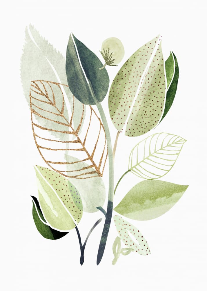 Botanical Collage by Kristian Gallagher — canvas wall art