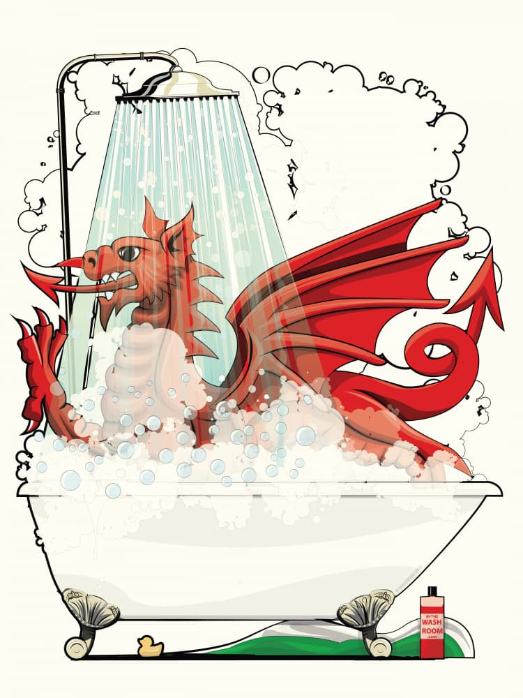 Dragon Bubble Bath by In The Washroom — canvas wall art