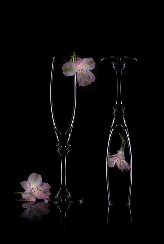 Delicate Floral Elegance by Lydia Jacobs — canvas wall art