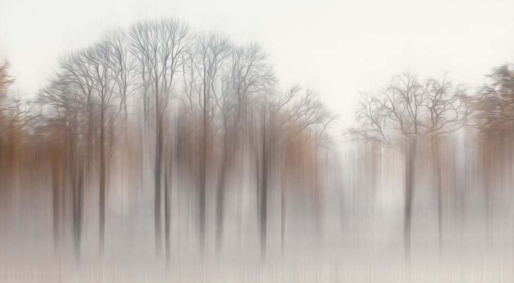 Misty Winter Trees by Hilda van der Lee — canvas wall art