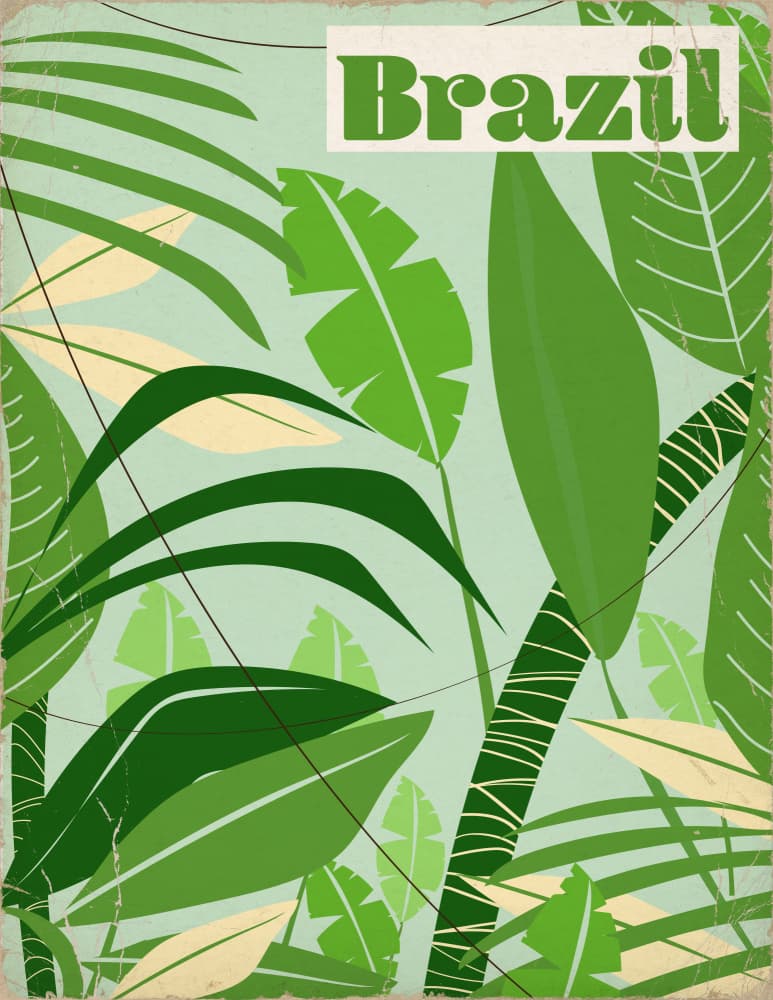 Vintage Brazil Jungle by Nicholas — canvas wall art