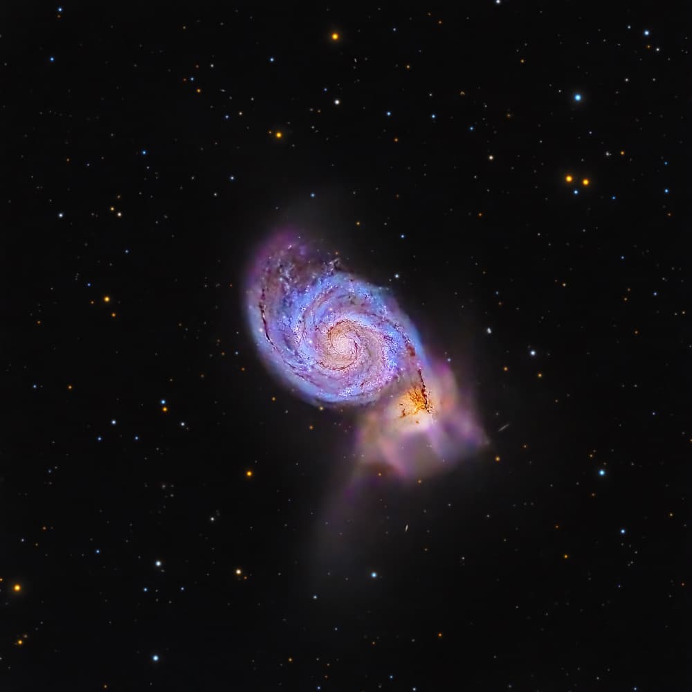Whirlpool Galaxy by Rosa María Rodríguez — canvas wall art
