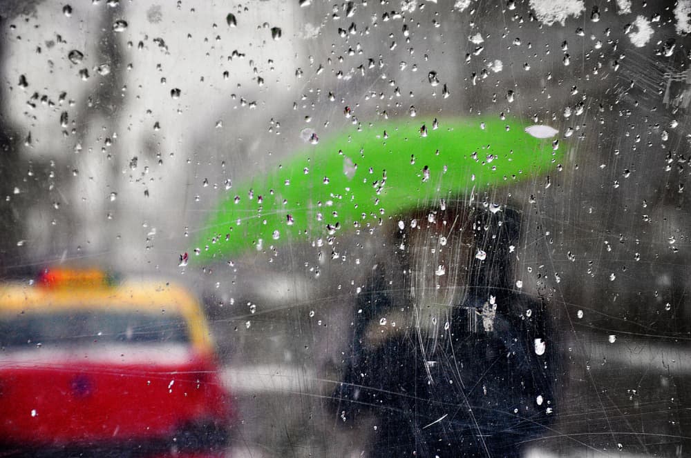 Green Umbrella Rainy Street by Nicoleta Gabor — canvas wall art