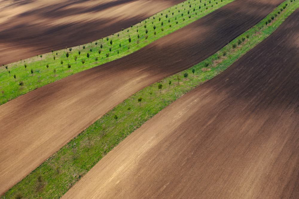Spring Field Patterns by Jure Kravanja — canvas wall art