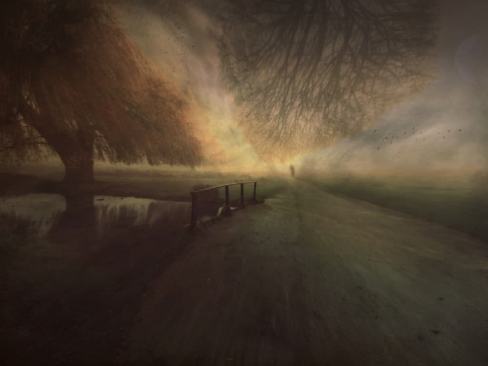 Misty Path Solitude by Robert Fabrowski — canvas wall art