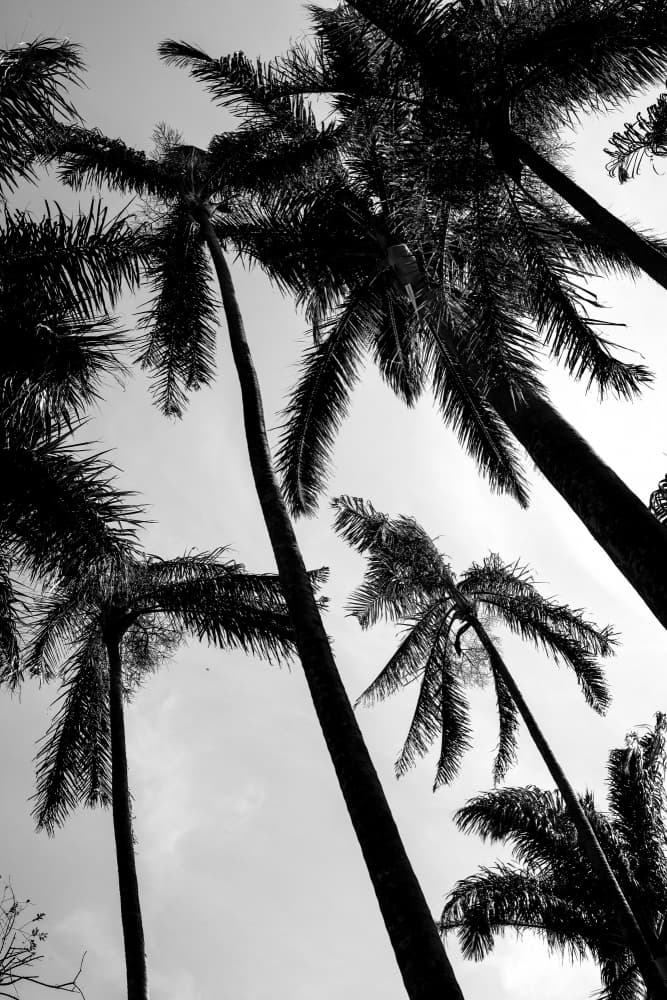 Looming In Light by Shot by Clint — canvas wall art