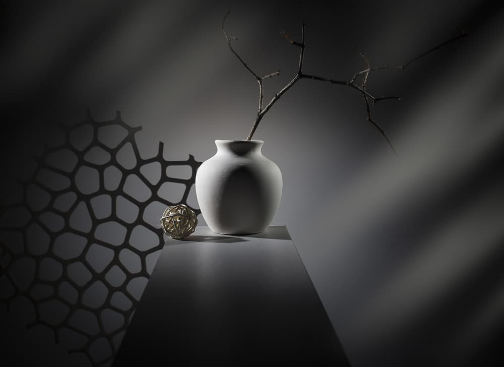 Minimalist Branch Still Life by Evgeniy Popov — canvas wall art