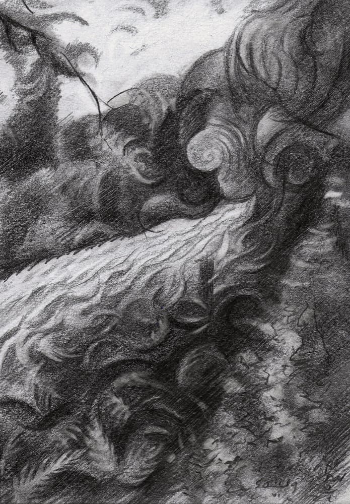 Dark Forest Stream Flow by Corné Akkers — canvas wall art