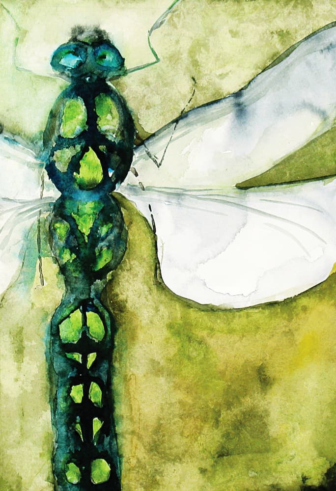 Emerald Dragonfly by RodMacIver — canvas wall art