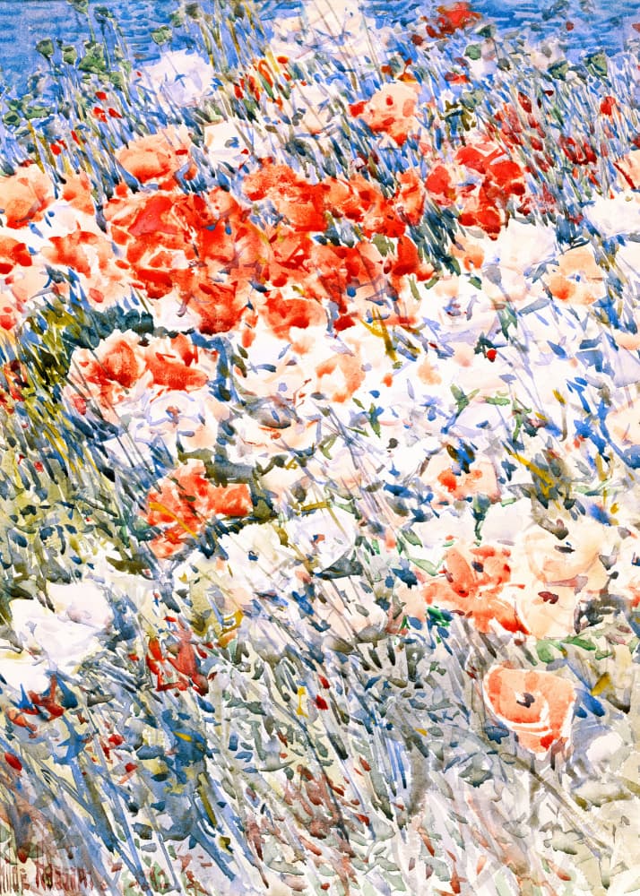 The Island Garden by Frederick Childe Hassam — canvas wall art