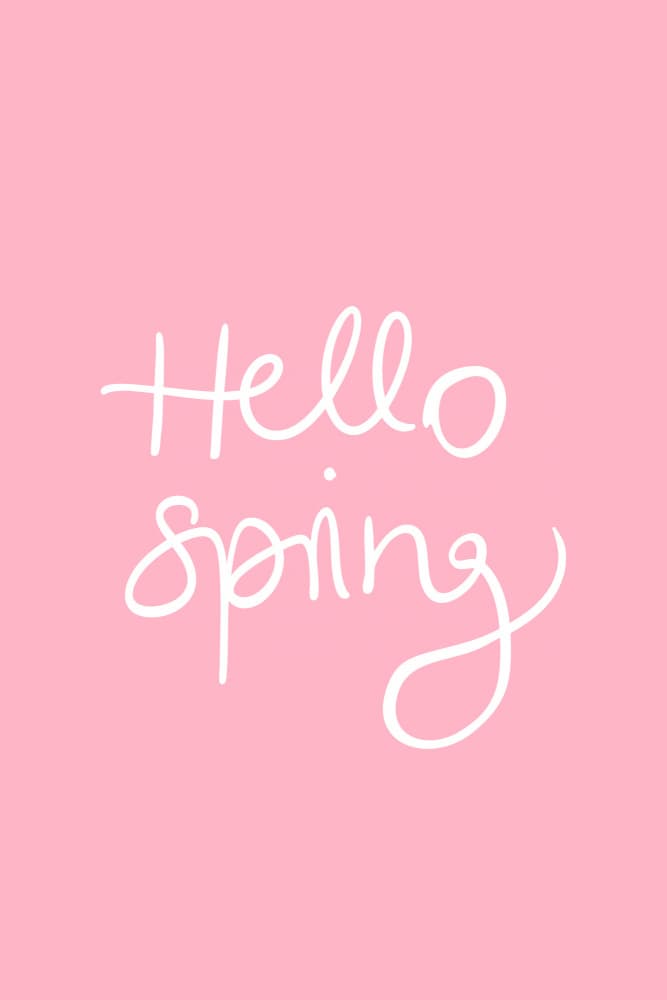 Pink Hello Spring by Karen Menzenbach — canvas wall art