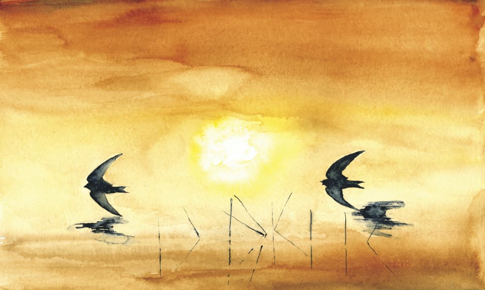 Golden Hour Birds by RodMacIver — canvas wall art