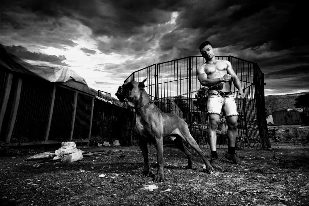 Powerful Man Strong Dog by Hamze Dashtrazmi — canvas wall art