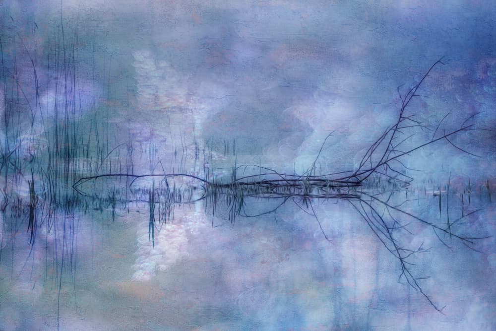 Ethereal Water Branches by Hilda van der Lee — canvas wall art
