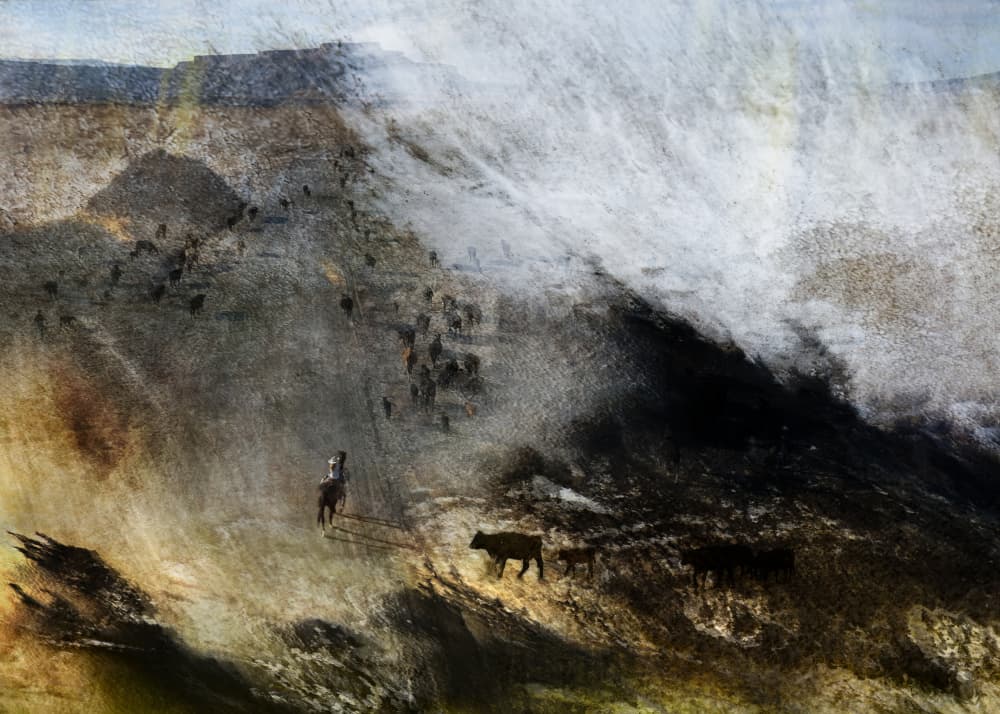 Cowboy Cattle Drive by Shenshen Dou — canvas wall art