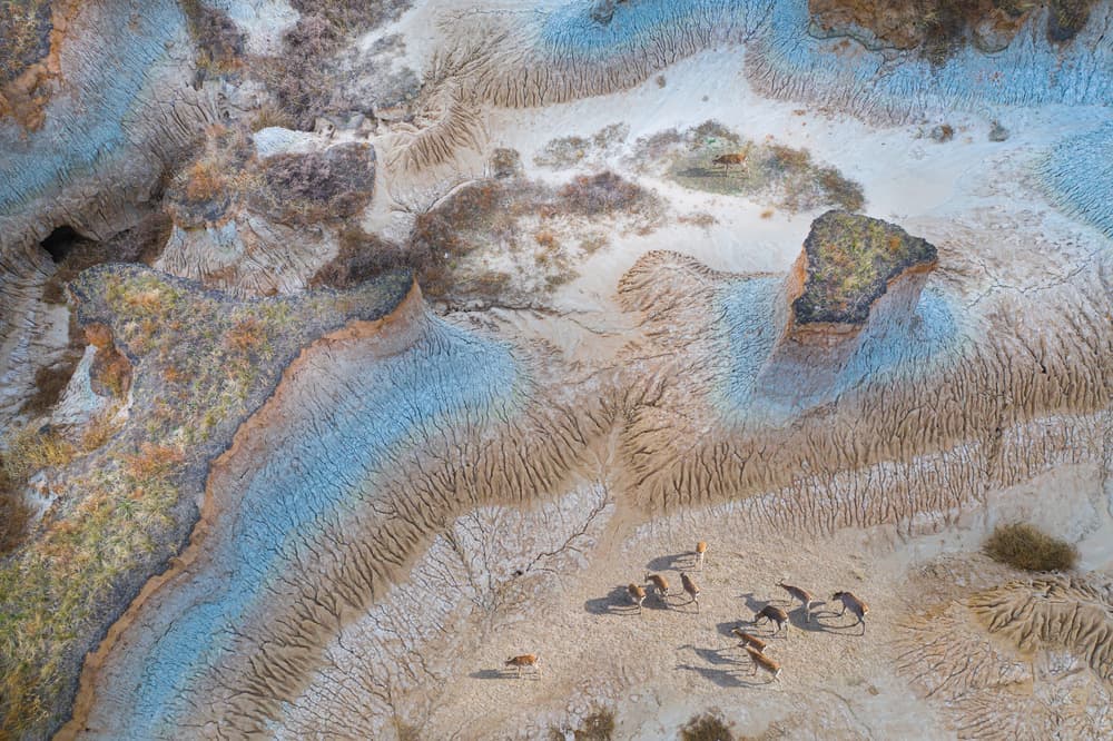 Desert Herd Earth Patterns by Simoon — canvas wall art