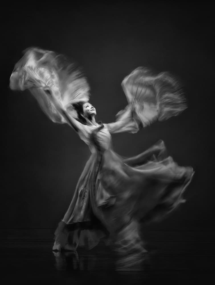 Dancing Fans by Mia Meng — canvas wall art