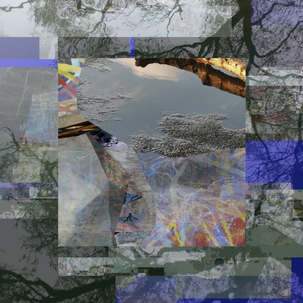 Fragmented Tree Reflection by Stefan Fransson — canvas wall art