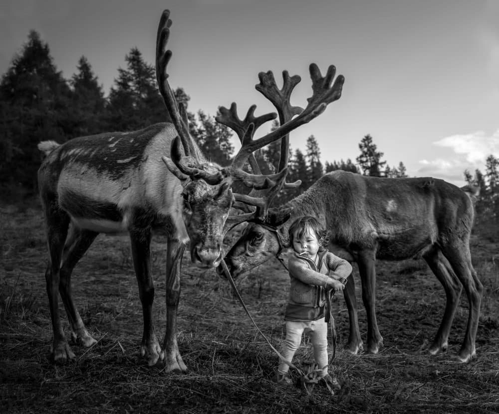 Young Child With Reindeer by Irene Wu — canvas wall art