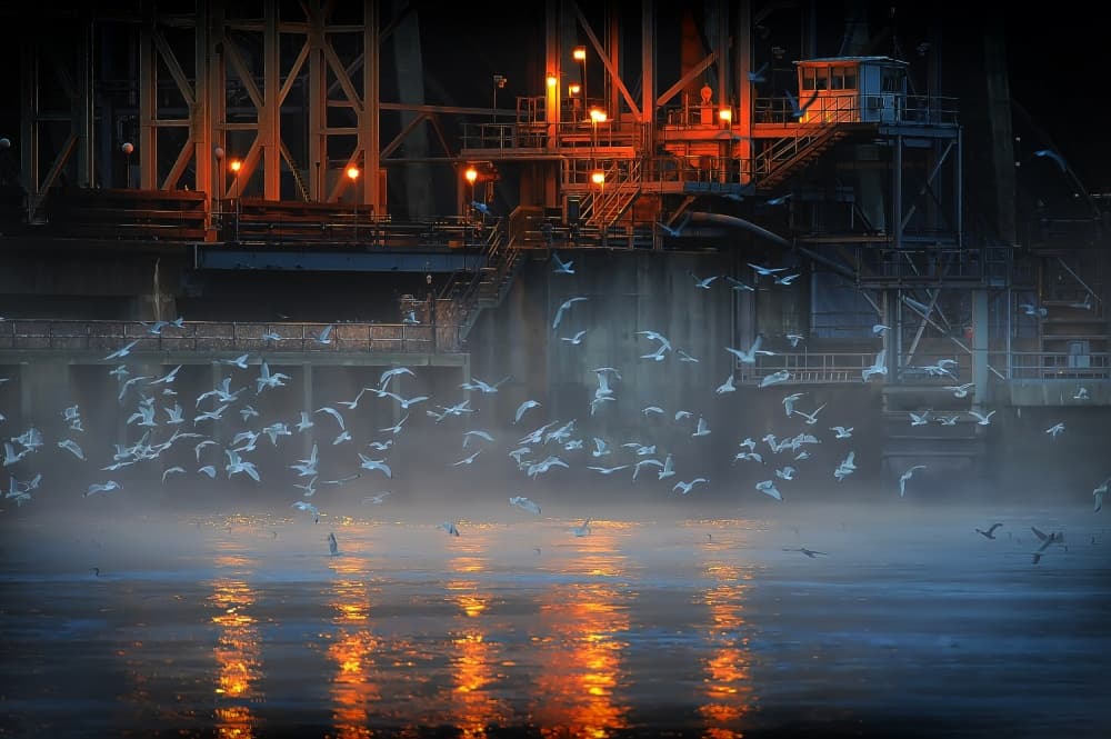 Misty Industrial Flight by Rob Li — canvas wall art