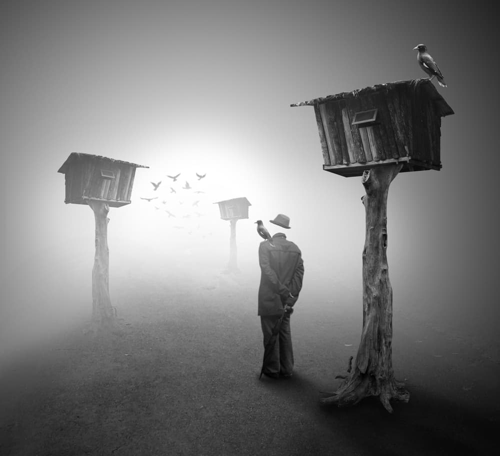 Headless Man Foggy Field by Hari Sulistiawan — canvas wall art