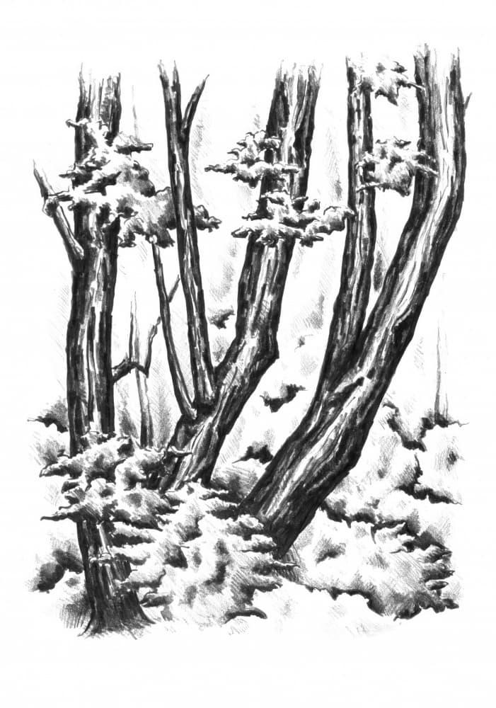 Snowy Winter Woods by Kulik — canvas wall art