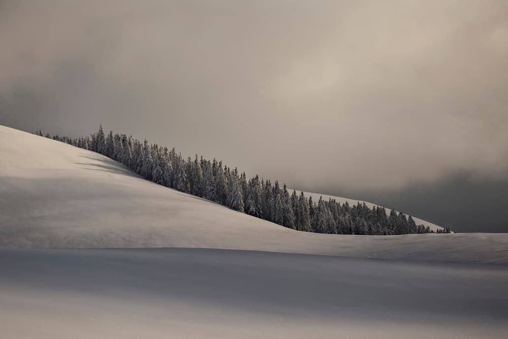 Serene Winter Hills by Lazar Ioan Ovidiu — canvas wall art