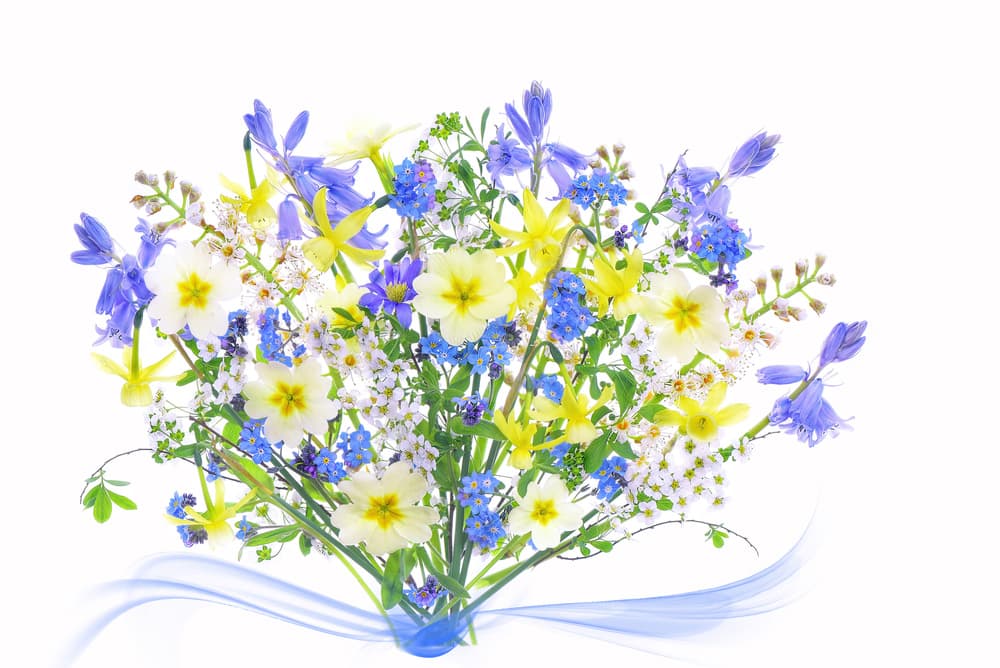 Vibrant Spring Flower Bouquet by Jacky Parker — canvas wall art