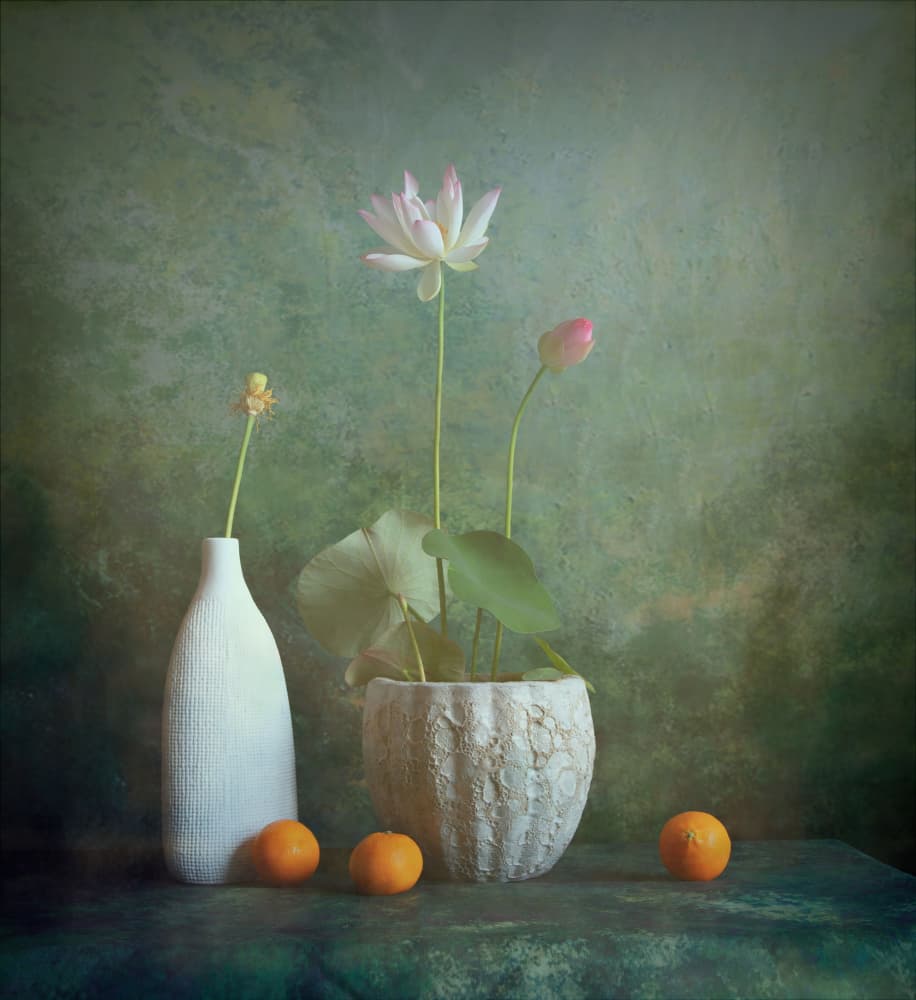 Serene Lotus Still Life by Fangping Zhou — canvas wall art