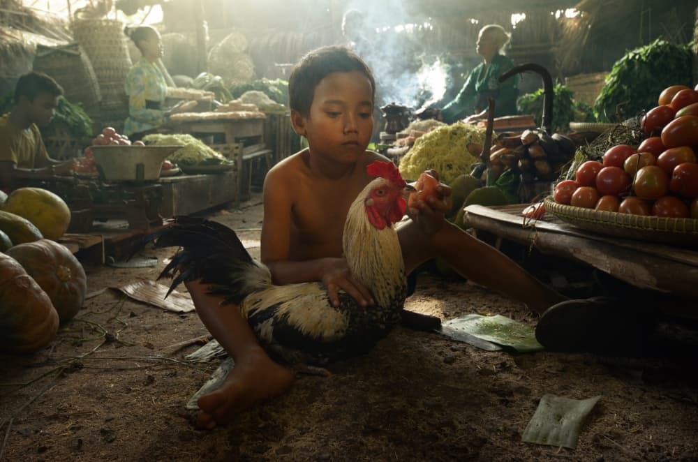 Boy Feeding Rooster Market by Fahmi Bhs — canvas wall art