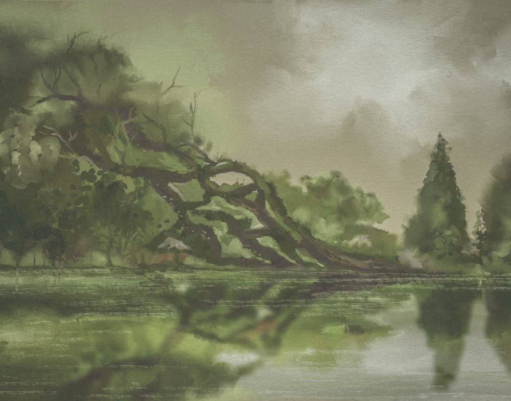 Gnarled Tree Reflection by Josie George — canvas wall art