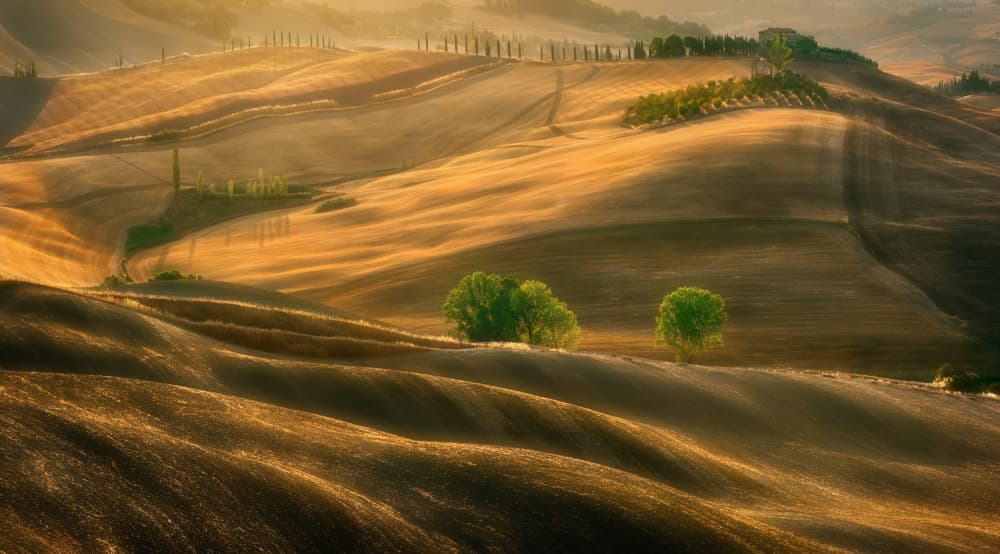 Golden Tuscan Hills by Krzysztof Browko — canvas wall art