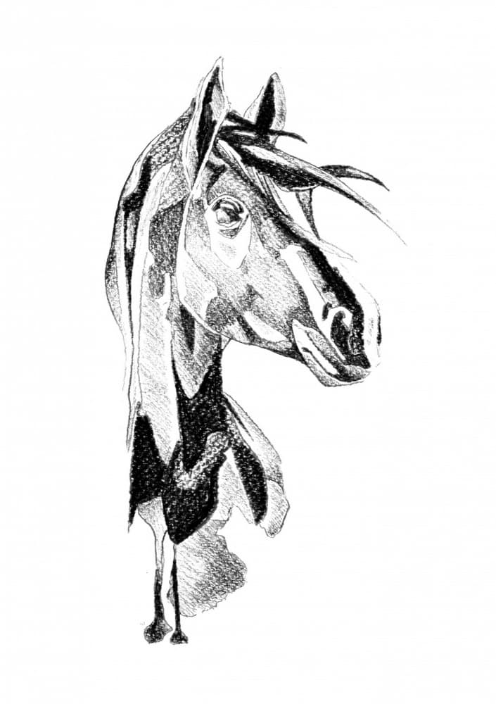 Dynamic Horse Sketch by Kulik — canvas wall art
