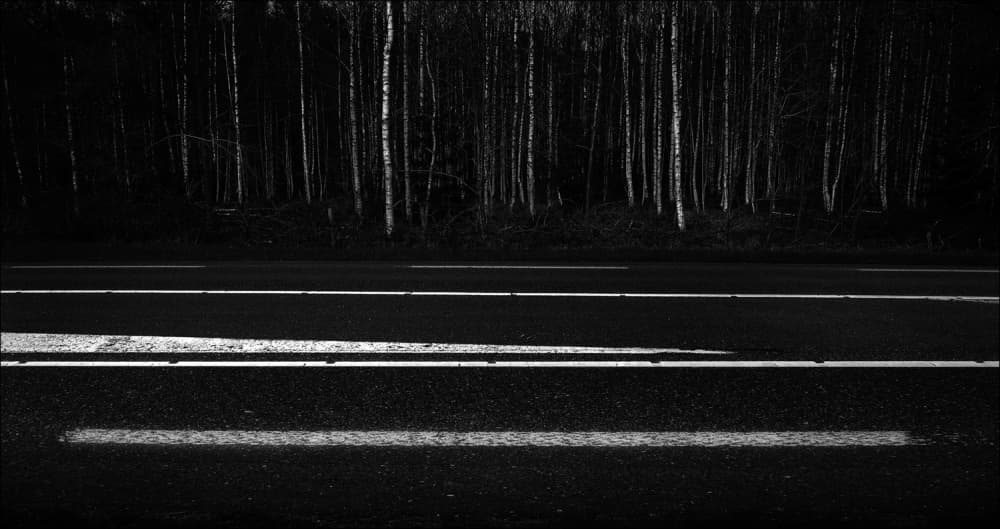 Dark Forest Road by Huib Limberg — canvas wall art