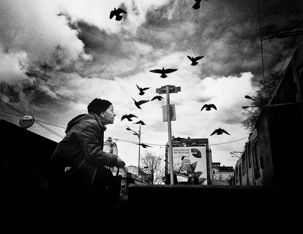 Woman Watching Flying Birds by Mirela Momanu — canvas wall art