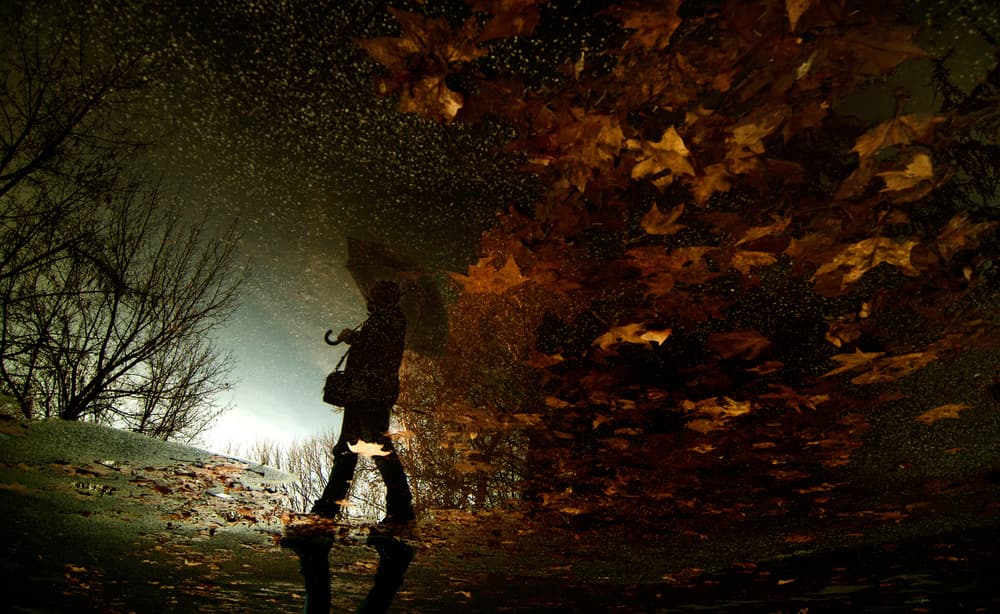 Rainy Autumn Reflection by Antonio Grambone — canvas wall art