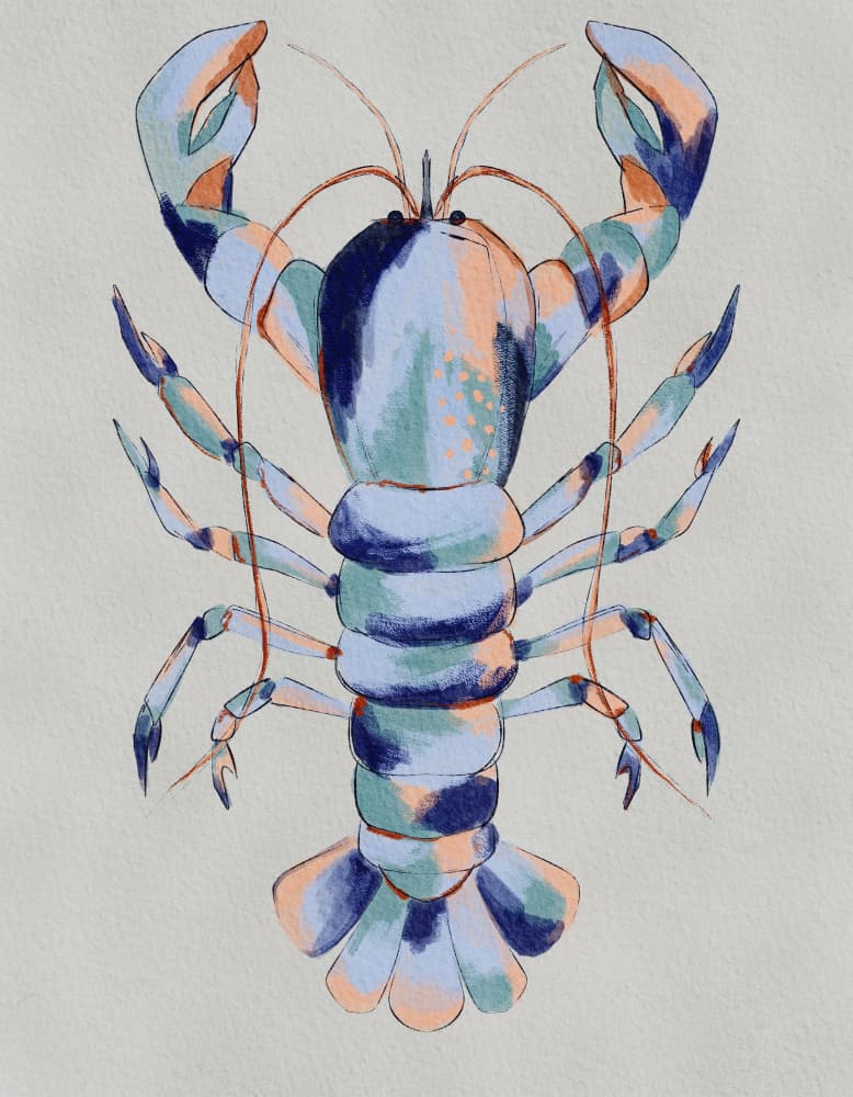 Colorful Blue Lobster by Nikita Jariwala — canvas wall art