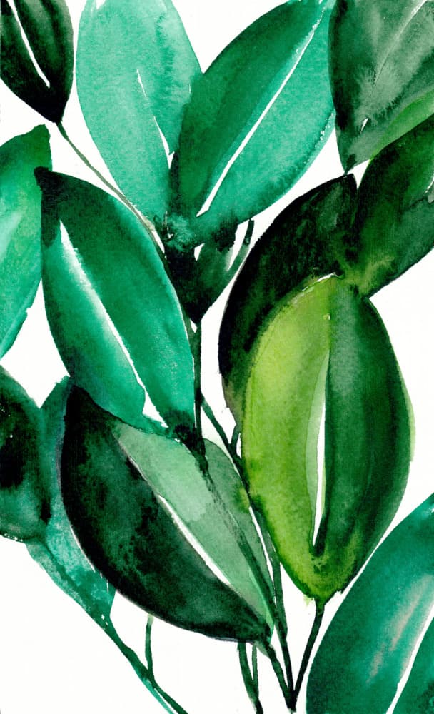 Vibrant Green Leaves by Christine Lindstrom — canvas wall art