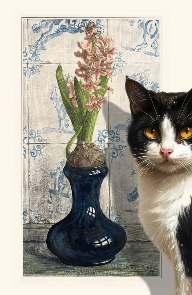 Curious Cat and Hyacinth by Marja van den Hurk — canvas wall art