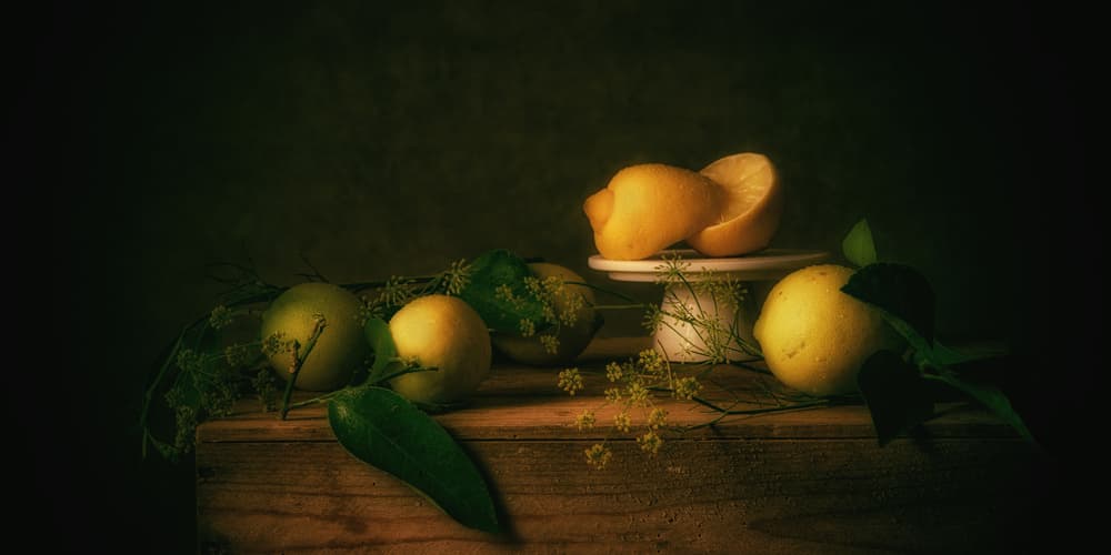 Moody Lemon Still Life by Monique van Velzen — canvas wall art