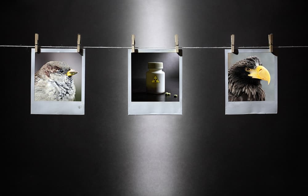 by Victoria Glinka — canvas wall art
