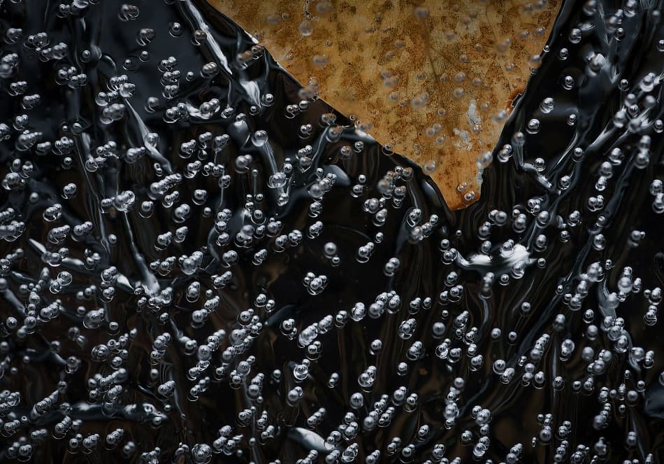 Frozen Leaf and Bubbles by Allan Wallberg — canvas wall art