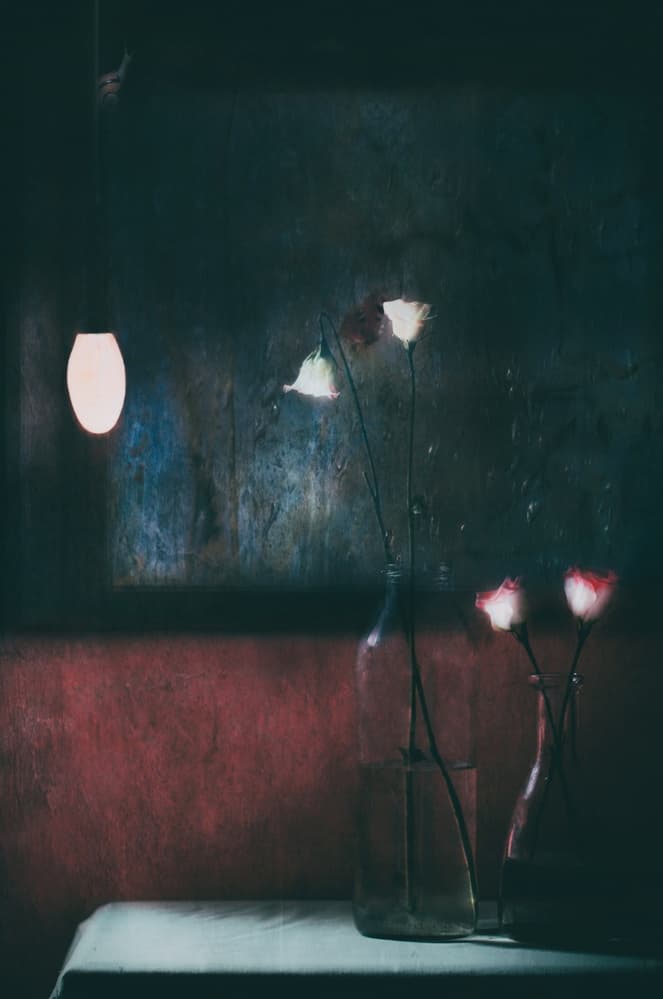 Moody Flowers Still Life by Delphine Devos — canvas wall art