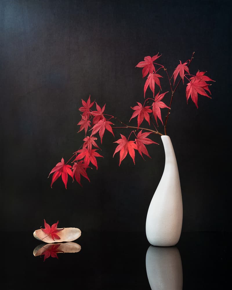 Red Maple Still Life by Aidong Ning — canvas wall art