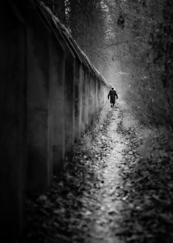 Quiet Path Walker by Andy Dauer — canvas wall art