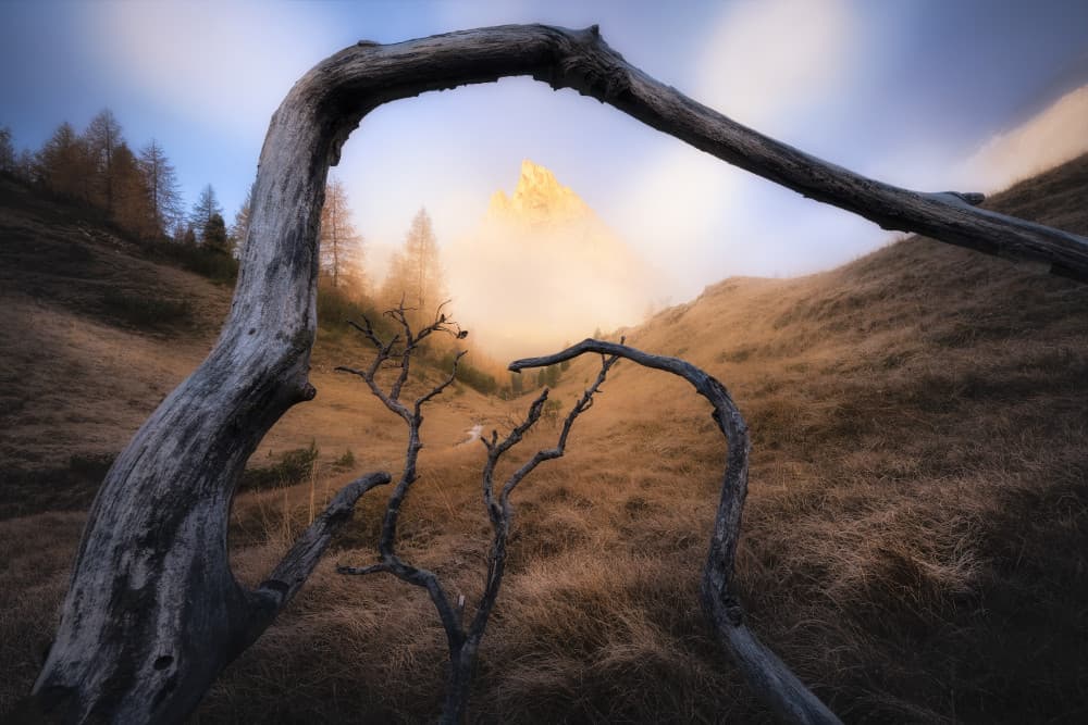 Framed Golden Peak by Marian Kuric QEP — canvas wall art
