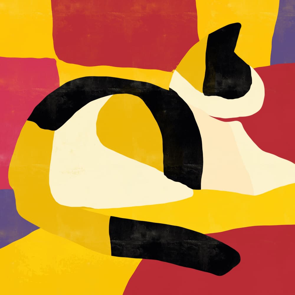 Colorful Sleeping Cat by Little Dean — canvas wall art