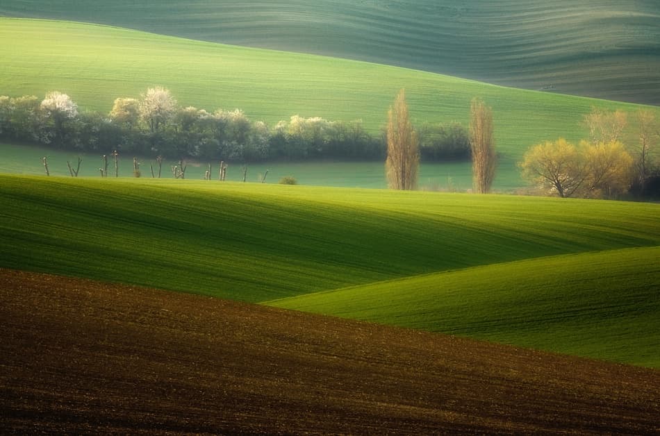 Rolling Green Hills by Krzysztof Browko — canvas wall art